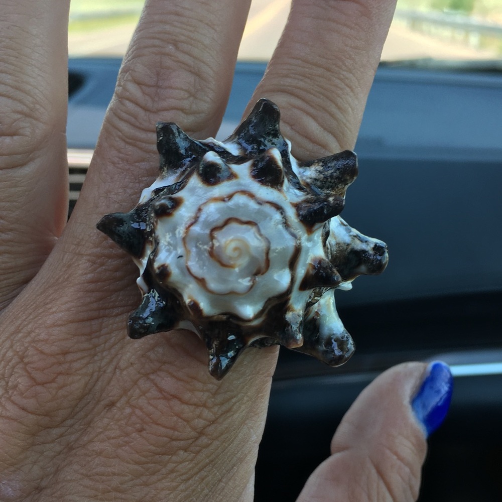Seashell Ring